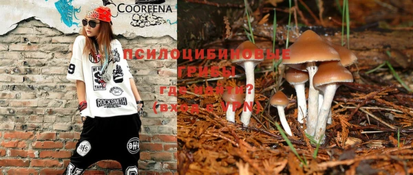 PSILOCYBIN Осинники