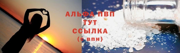 PSILOCYBIN Осинники