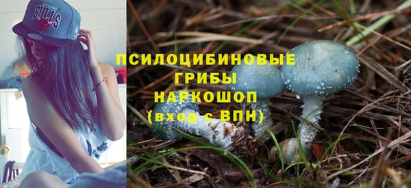 тгк Осташков