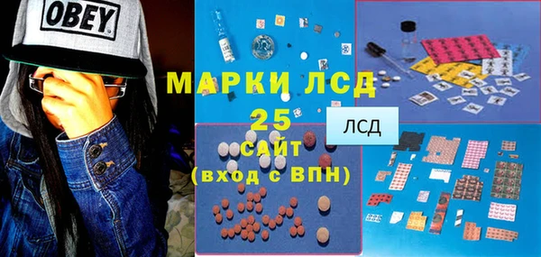 PSILOCYBIN Осинники