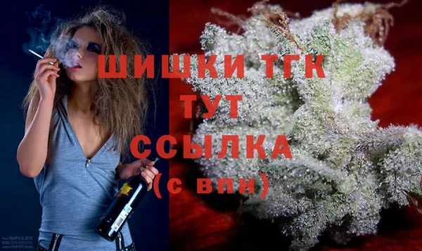 PSILOCYBIN Осинники