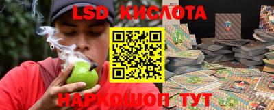 индика Камышлов