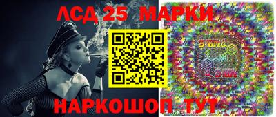 индика Камышлов