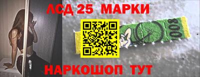 индика Камышлов