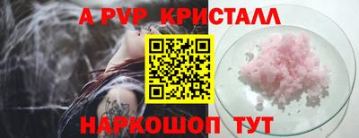индика Камышлов