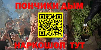 индика Камышлов