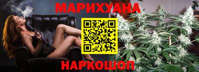 индика Камышлов