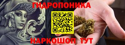 индика Камышлов