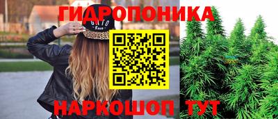 индика Камышлов