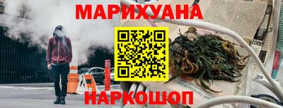 индика Камышлов