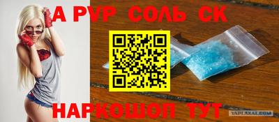 индика Камышлов