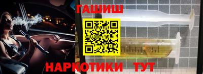 индика Камышлов