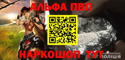 индика Камышлов