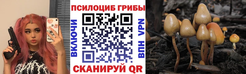 купить цена Первоуральск Галлюциногенные грибы Magic Shrooms