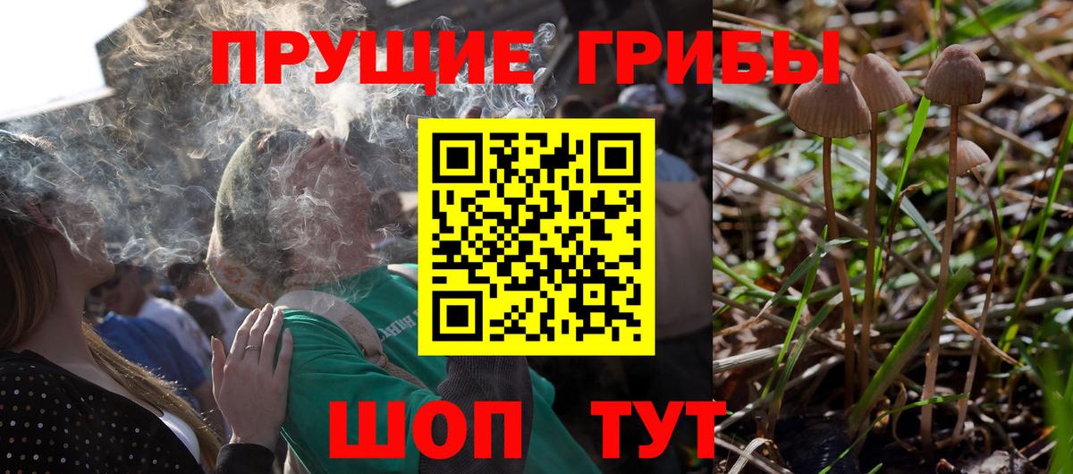 Галлюциногенные грибы MAGIC MUSHROOMS  Вход с VPN  Первоуральск 